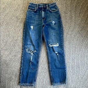 Lee Vintage Modern High Ride Straight Leg Ankle Jean